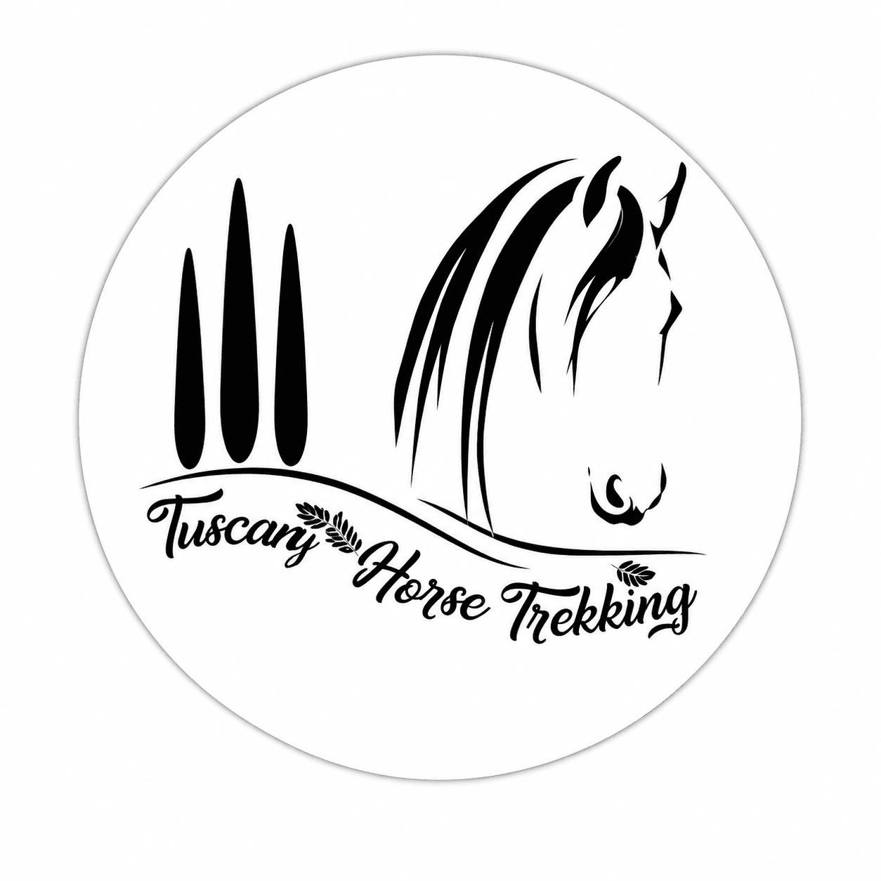 Tuscany Horse Trekking